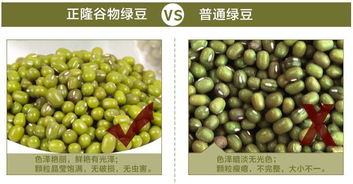 正隆谷物500g绿豆 谷物绿豆的营养价值与选购指南